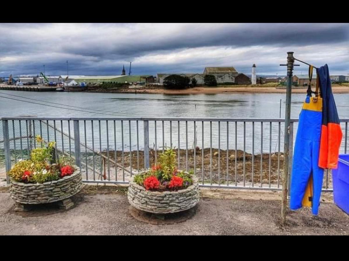 The Thin Seagull 4 Beacon Terrace Ferryden Exterior foto