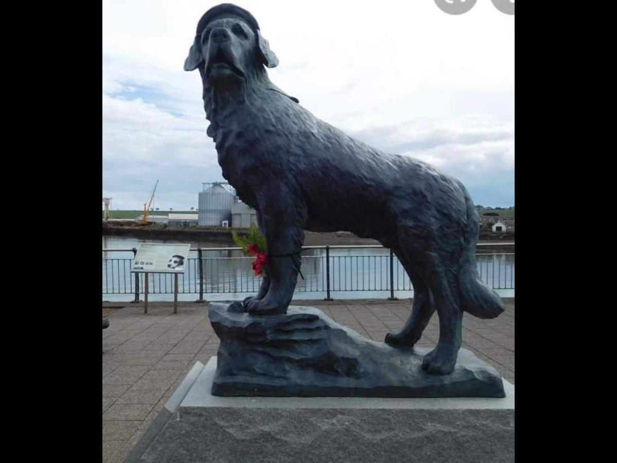 The Thin Seagull 4 Beacon Terrace Ferryden Exterior foto